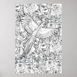 Parrot Clarity Poster