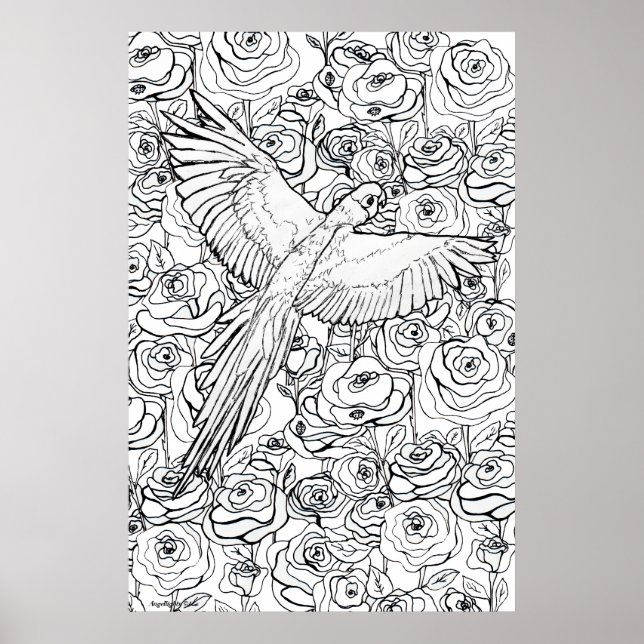 Parrot Clarity Poster (Vorne)