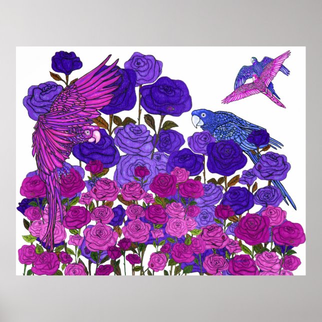 Parrot Clarity Poster (Vorne)