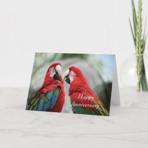 Parrot Couple Happy Jubiläumsgrüßkarte Dankeskarte