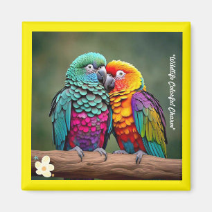 "Parrot Fotografy Showcase" Magnet