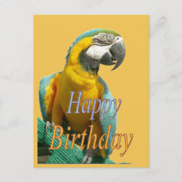 Parrot Happy Birthday individuell anpassbare Postk Postkarte