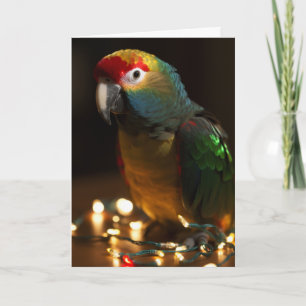 Parrot Holiday Cards Karte