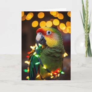 Parrot Holiday Cards Karte