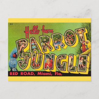Parrot Jungle Miami Vintage Postcard Postkarte