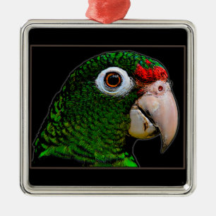 Parrot / La Cotorra Ornament Aus Metall