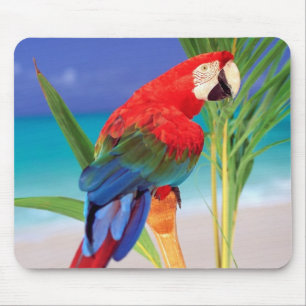 Parrot Mouse Pad Mousepad