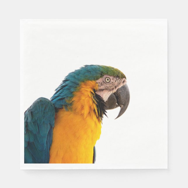 Parrot Notes Serviette (Vorderseite)