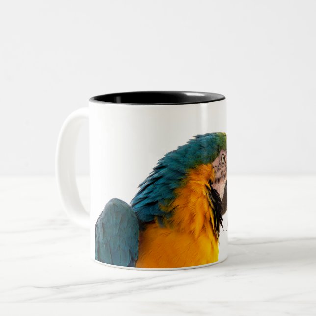 Parrot Notes Zweifarbige Tasse (Vorderseite Links)
