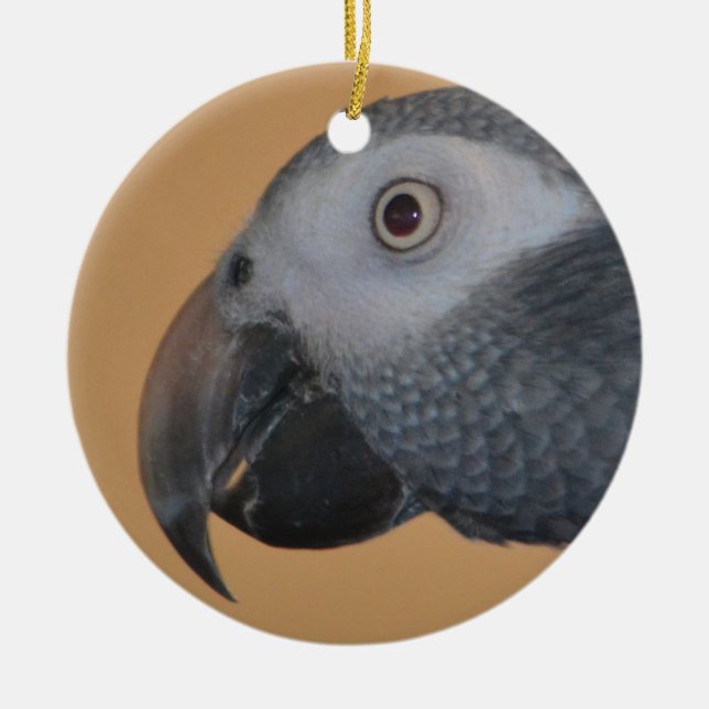Parrot Ornament (Vorne)
