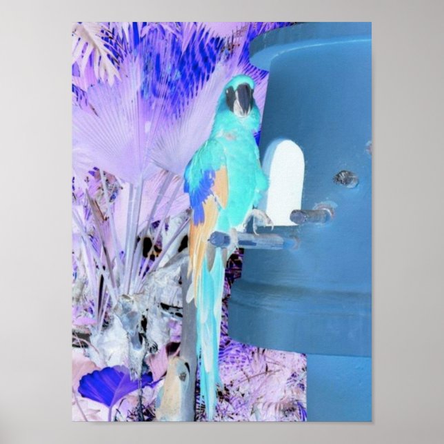 Parrot Pop Art Poster (Vorne)