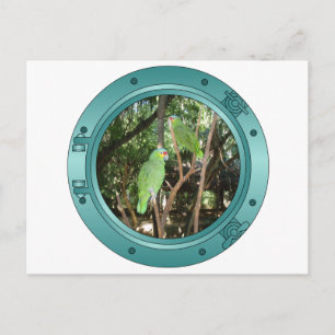 Parrot Porthole Postkarte