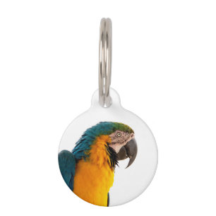 Parrot Post-it Notes Haustiermarke