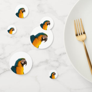 Parrot Post-it Notes Konfetti