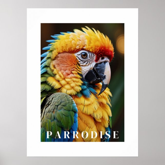 Parrot Poster (Vorne)