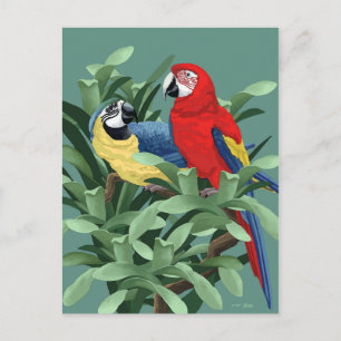 Parrot Postkarten