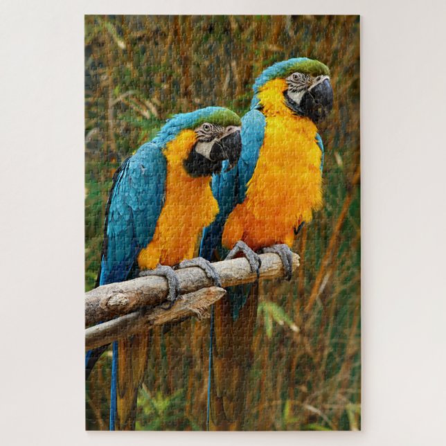 Parrot Puzzle (Vertikal)