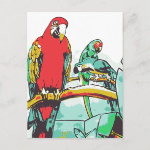 Parrot Trio Postkarte