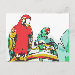 Parrot Trio Postkarte