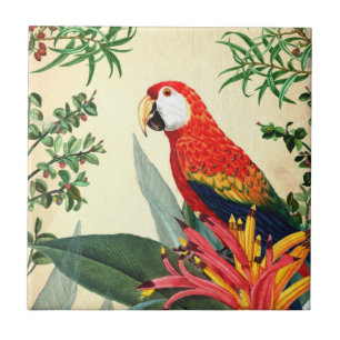 PARROT TROPICAL BIRD 8 FLIESE