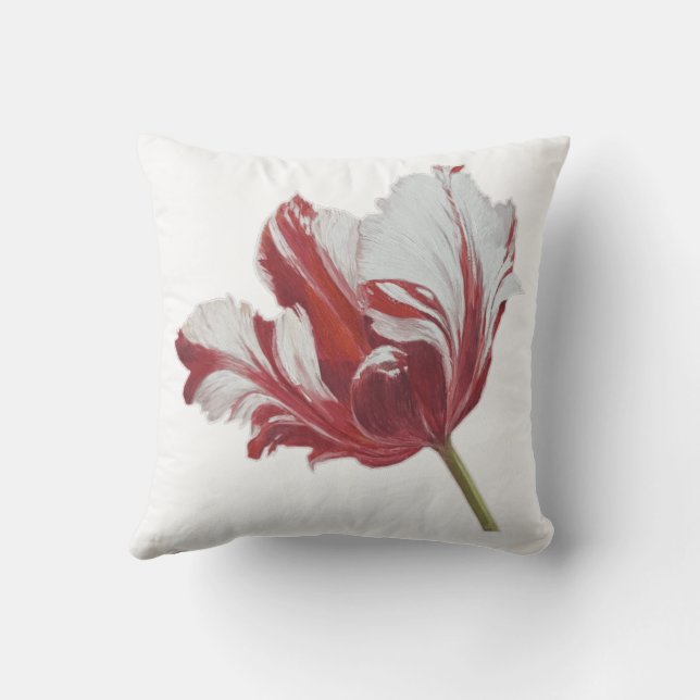 Parrot Tulip 10x  Kissen (Rückseite)