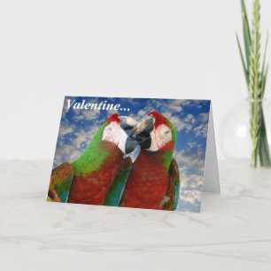 Parrot Valentine Card 003 Feiertagskarte