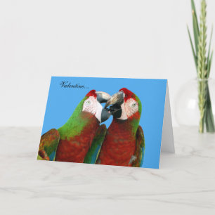 Parrot Valentine Card Feiertagskarte