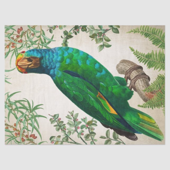 Parrot Vintag Art Seidenpapier (Vorderseite)