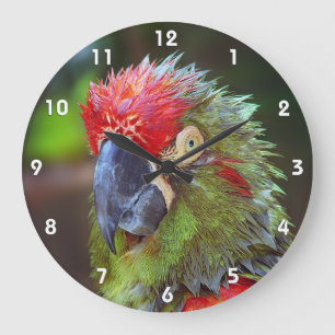 Parrot Wall Clocks Große Wanduhr
