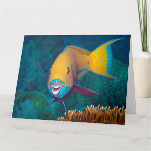 Parrotfish - auffallendes Make-up! Farbiges Foto Karte