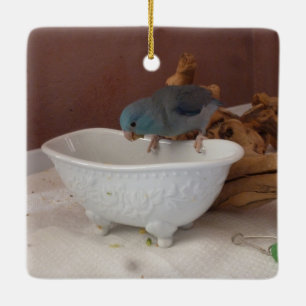 Parrotlet Bad Keramikornament