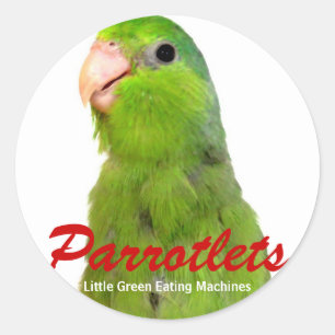 Parrotlet Birds Aufkleber Art Parrot Green Parrotl