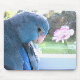 Parrotlet Blue Bird Kommunion mit Naturmousepad Mousepad