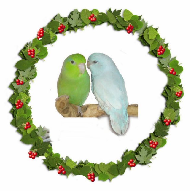 Parrotlet Christmas Wreath Fotoskulptur Ornament (Vorne)