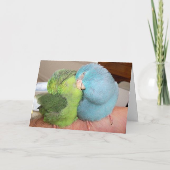 Parrotlet liebt Vögel "in den Armen sicher" Gruß Karte (Vorderseite)