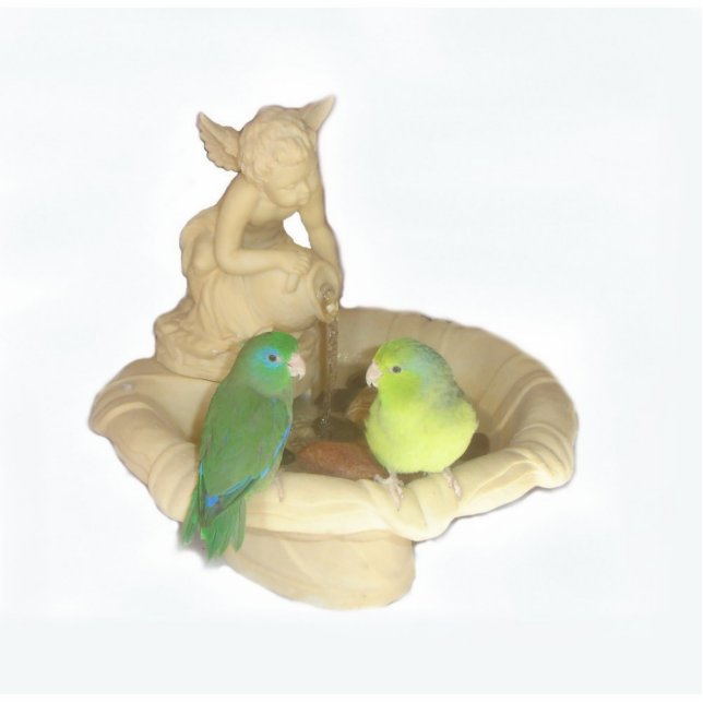 Parrotlet Pair Freistehende Fotoskulptur (Vorne)