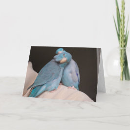 Parrotlet Pals Pacific Blue Birds Grußkarte Karte
