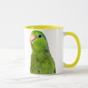 Parrotlet Vogel-Grün Parrotlet gelbe Tasse