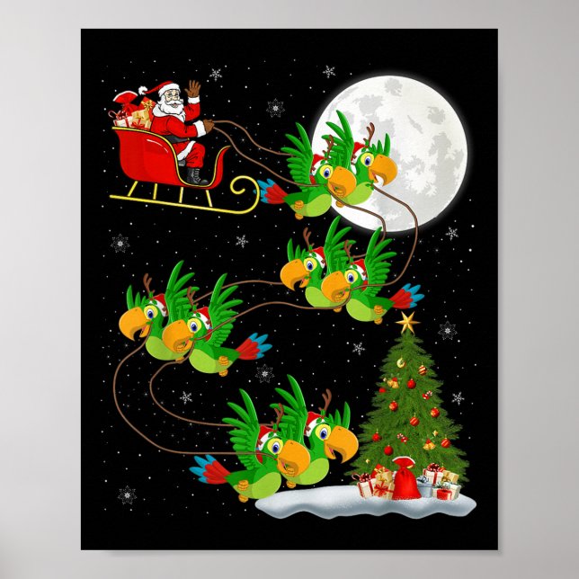 Parrots Bird Santa Sleigh Funny Magic Chr Poster (Vorne)