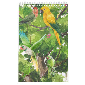 Parrots Collection Calendar. Kalender