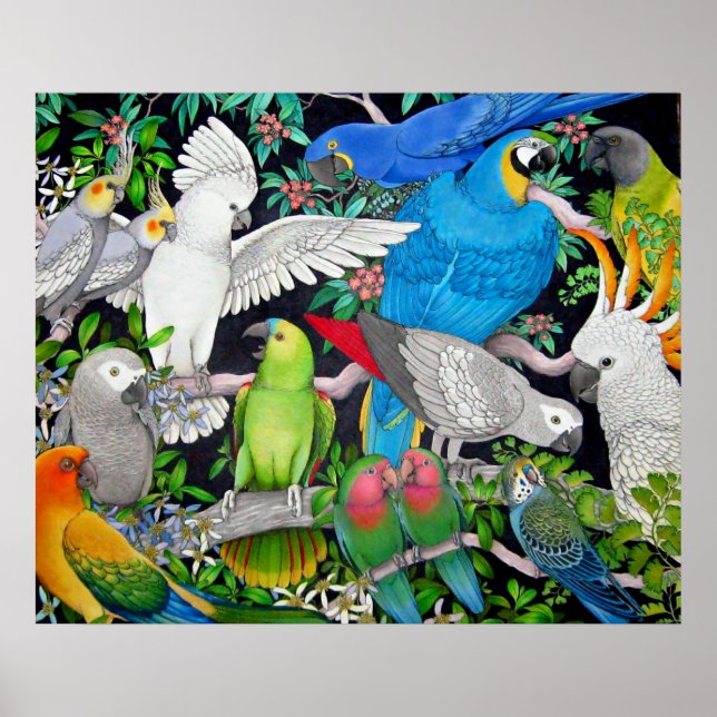 Parrots des Weltplakats Poster (Vorne)