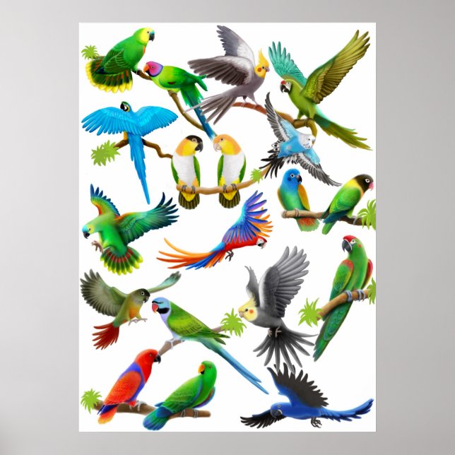 Parrots Galore Poster (Vorne)