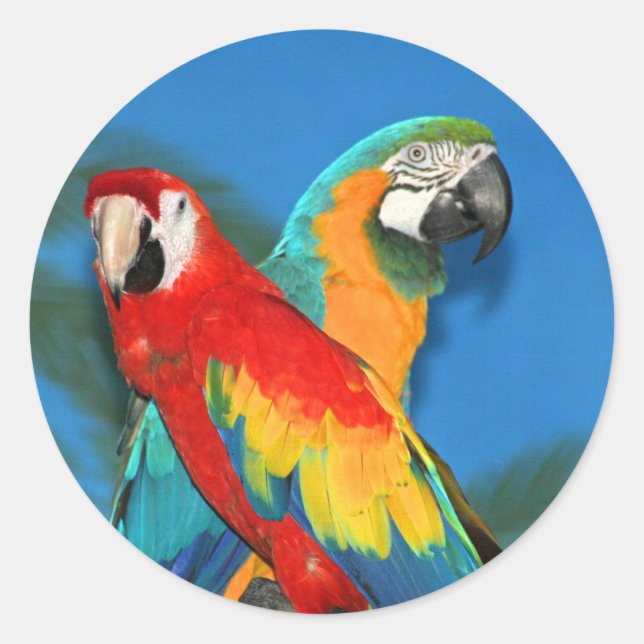 Parrots X Runder Aufkleber (Vorderseite)