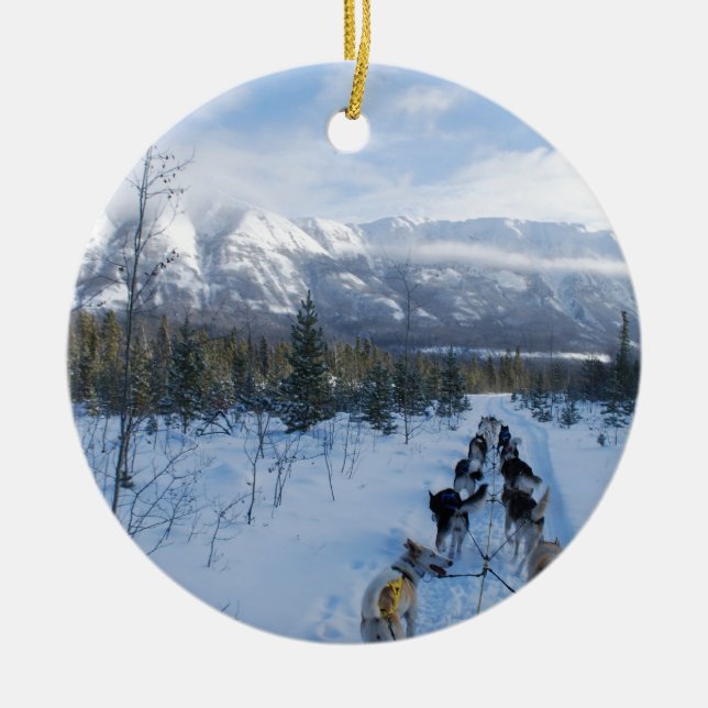 ParrotSleds - Landschaft Keramikornament (Vorne)