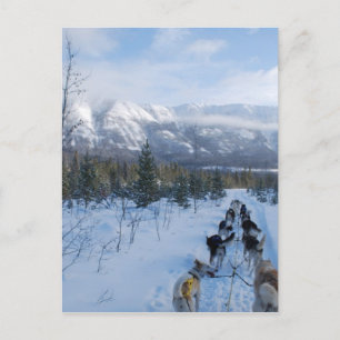 ParrotSleds - Landschaft Postkarte
