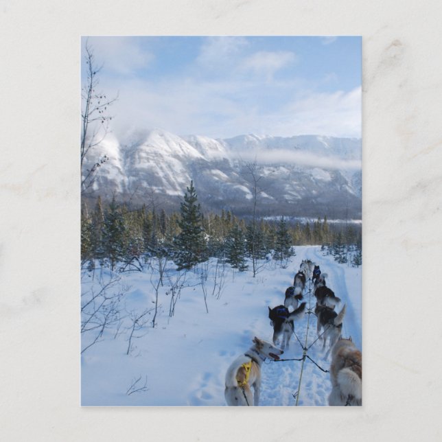 ParrotSleds - Landschaft Postkarte (Vorderseite)