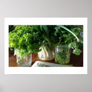 Parsley, Cilantro und Green Onions Poster