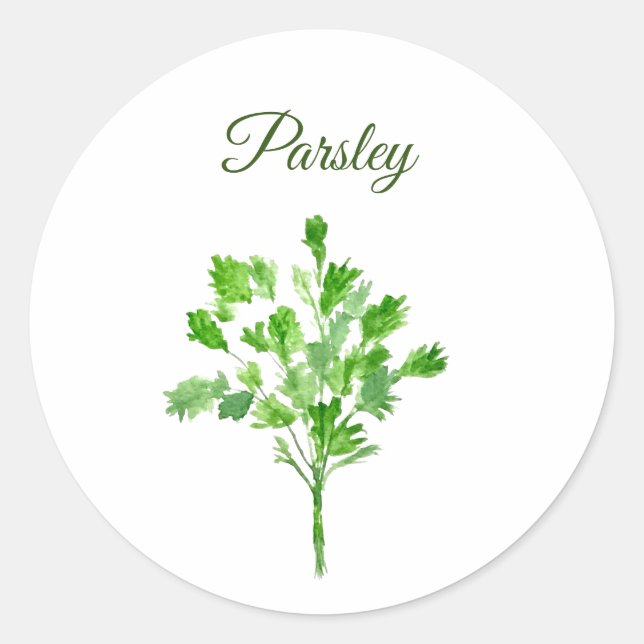 Parsley Kräuter Wasserfarbe Küche Grün Runder Aufkleber (Vorderseite)