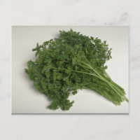 Parsley