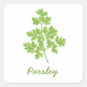 Parsley Quadratischer Aufkleber